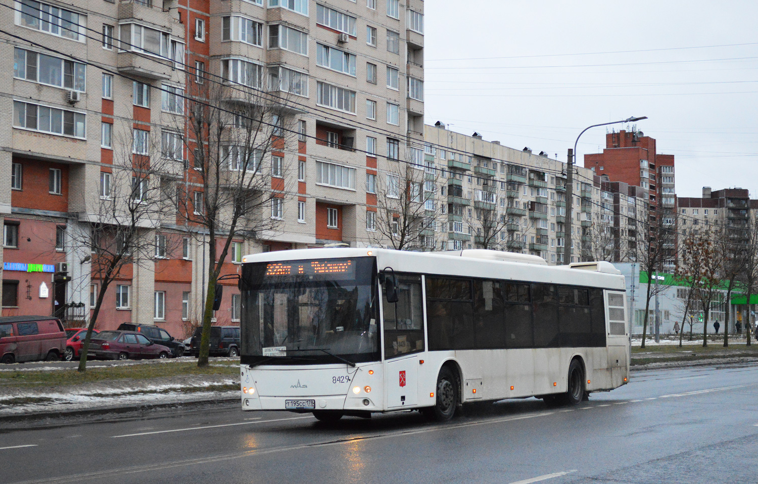 Санкт-Петербург, МАЗ-203.085 № 8429