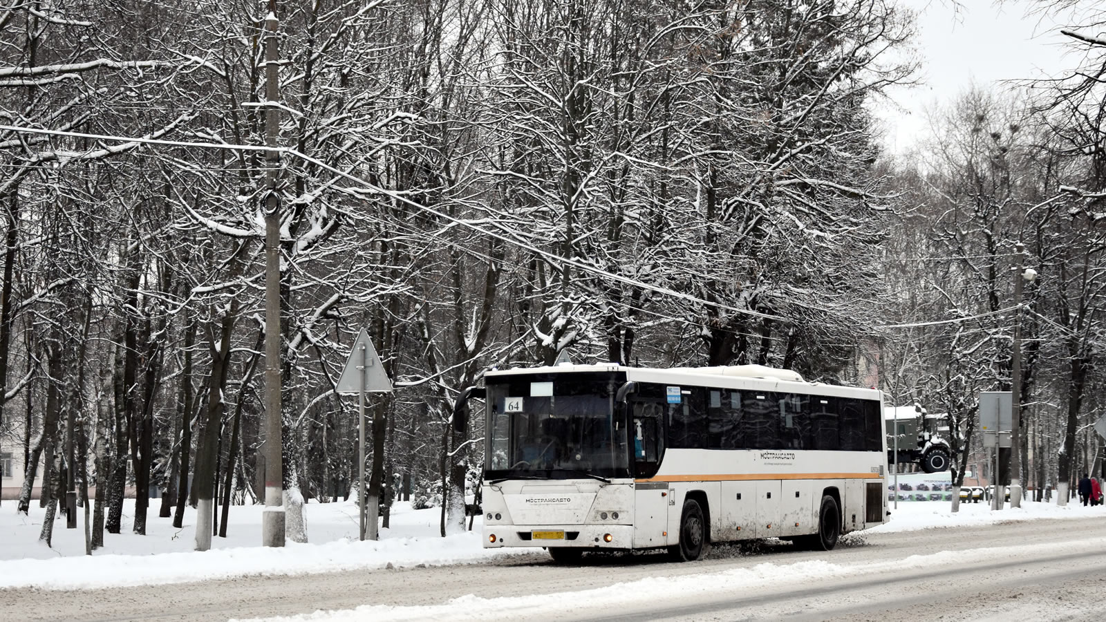 Московская область, ГолАЗ-525110-11 "Вояж" № 029736