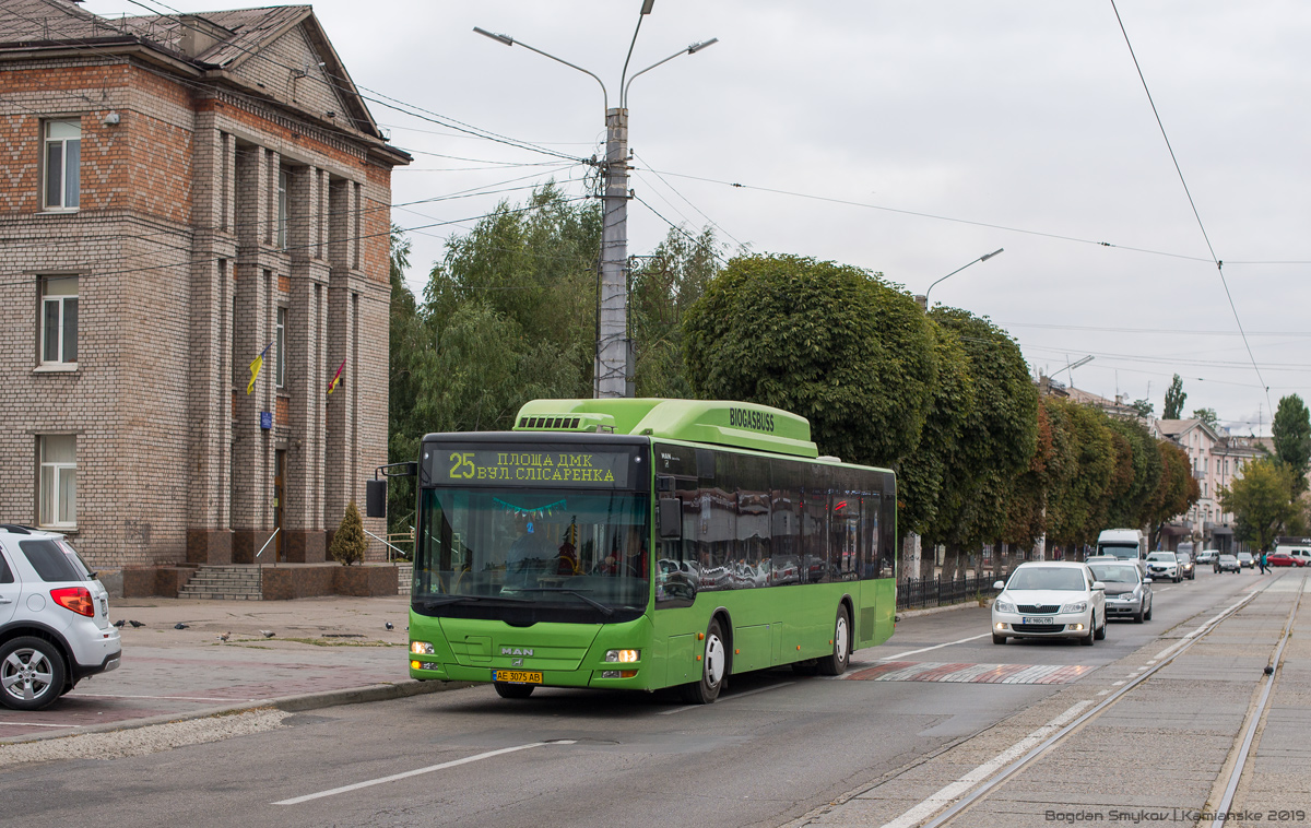 Днепропетровская область, MAN A21 Lion's City NL313 CNG № AE 3075 AB