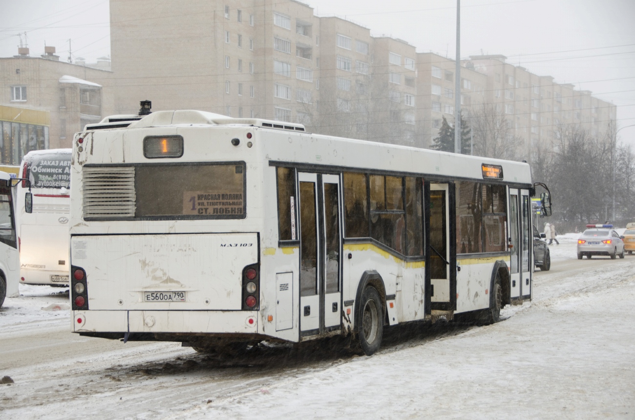 Московская область, МАЗ-103.486 № Е 560 ОА 790