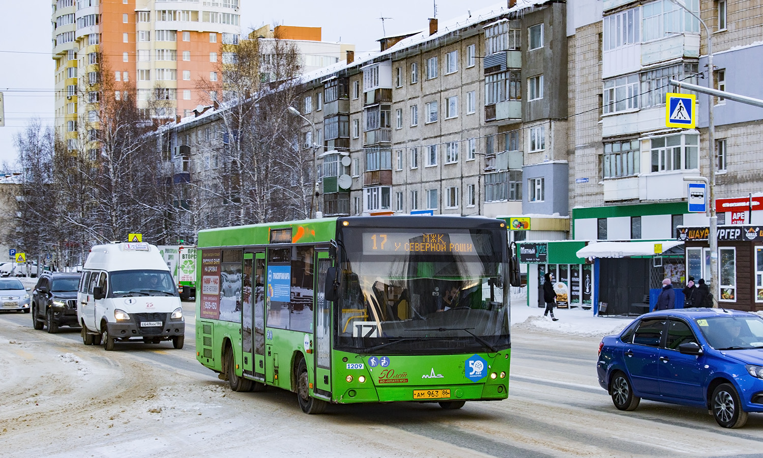 Ханты-Мансийский АО, МАЗ-206.068 № 1209