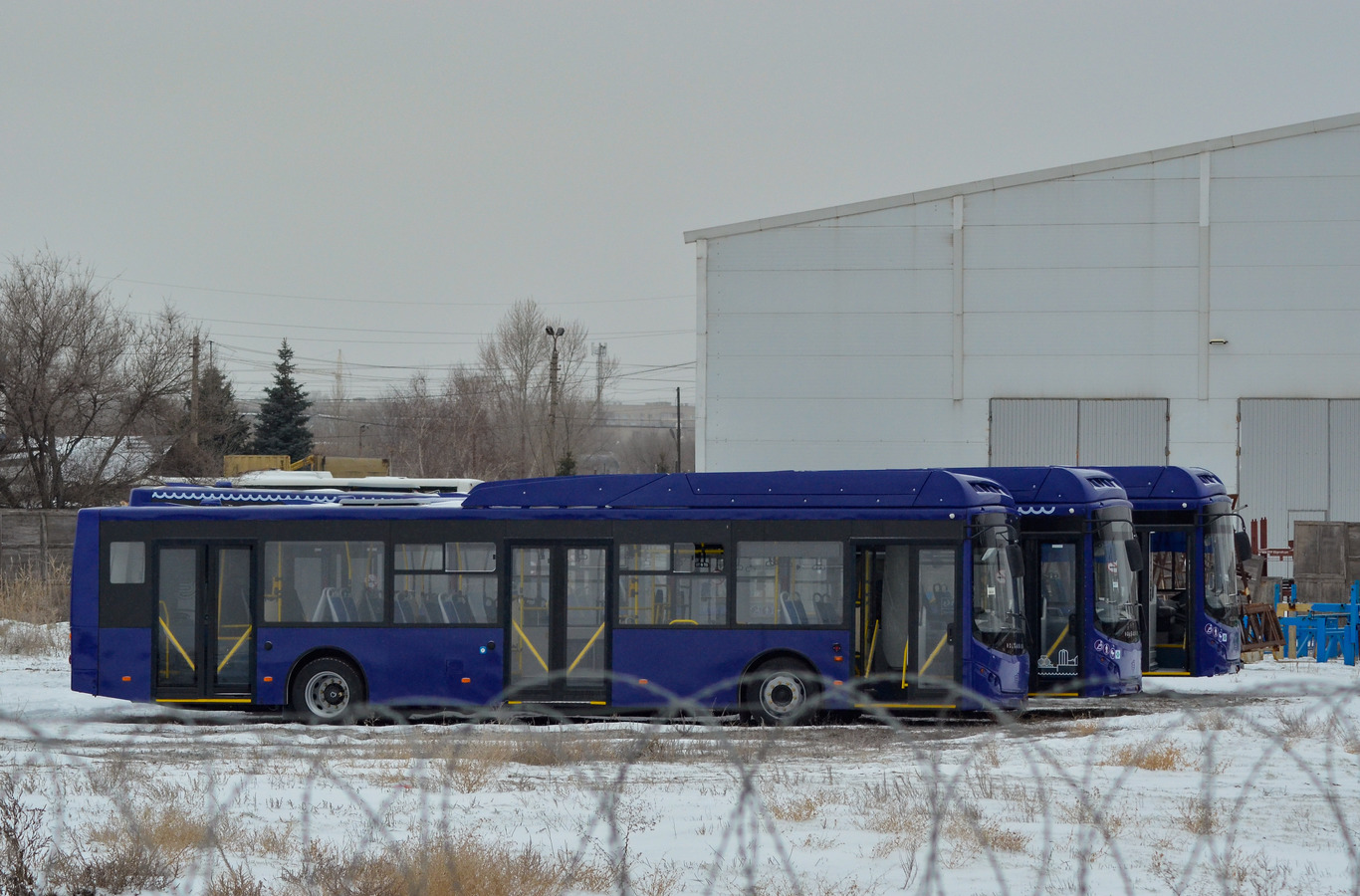 Волгоградская область — Новые автобусы "Volgabus"