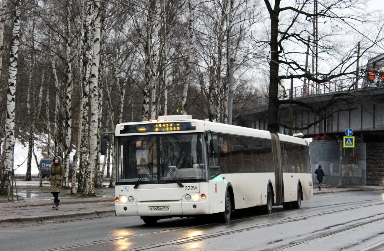 Санкт-Петербург, ЛиАЗ-6213.20 № 2229