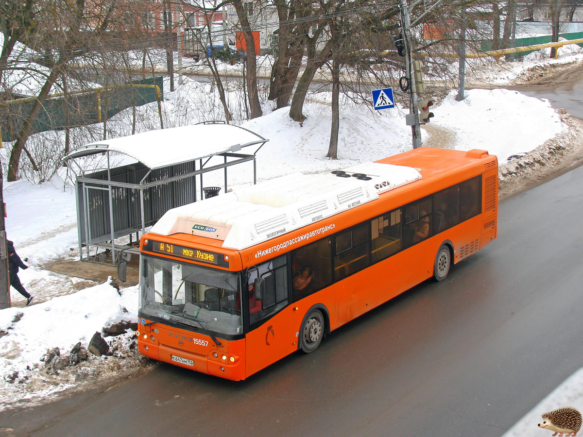 Нижегородская область, ЛиАЗ-5292.67 (CNG) № 15557