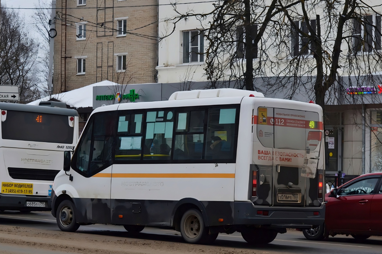 Московская область, Луидор-2250DS (ГАЗ Next) № 107016