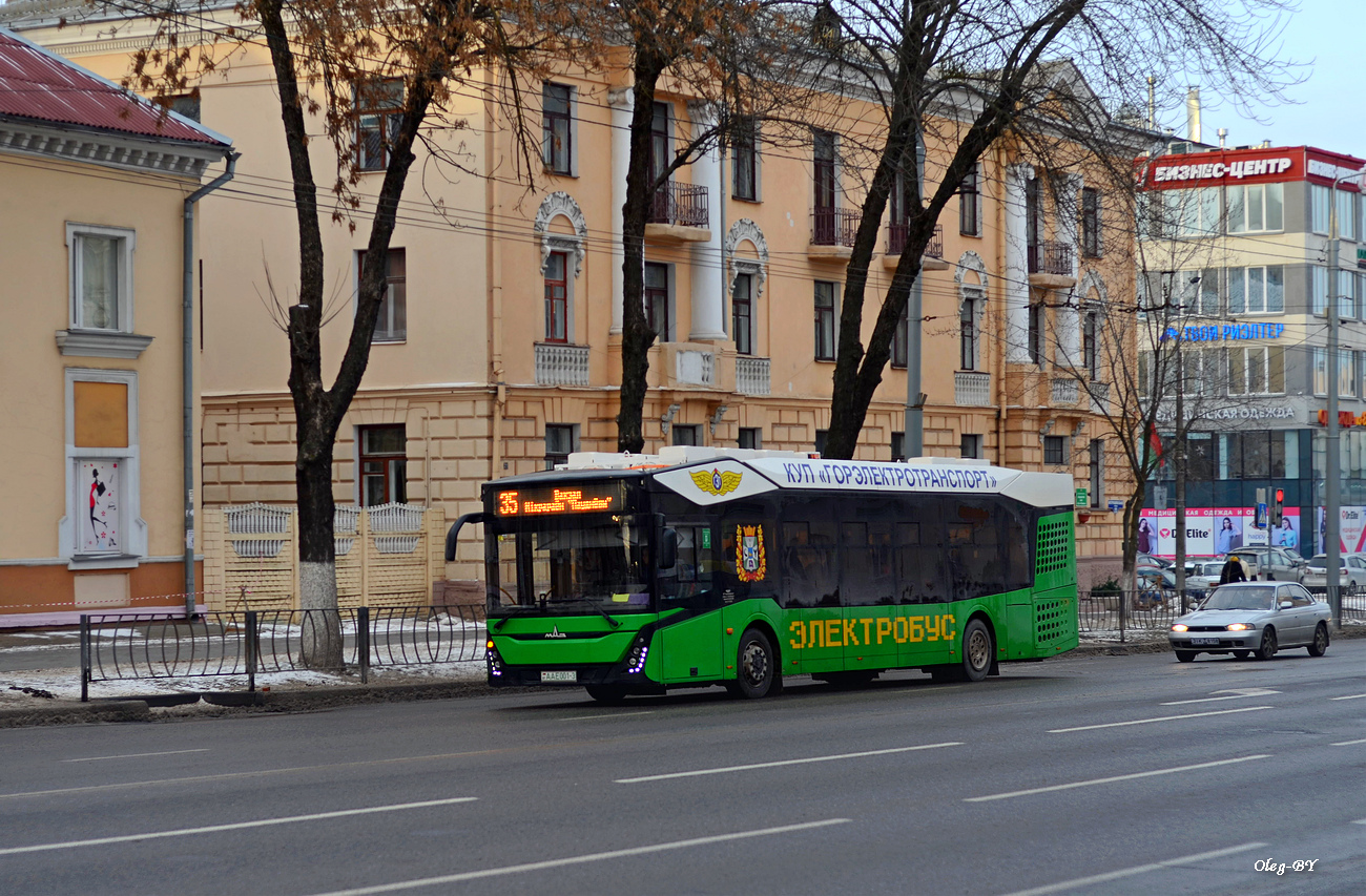 Гомельская область, МАЗ-303.E10 № 1858