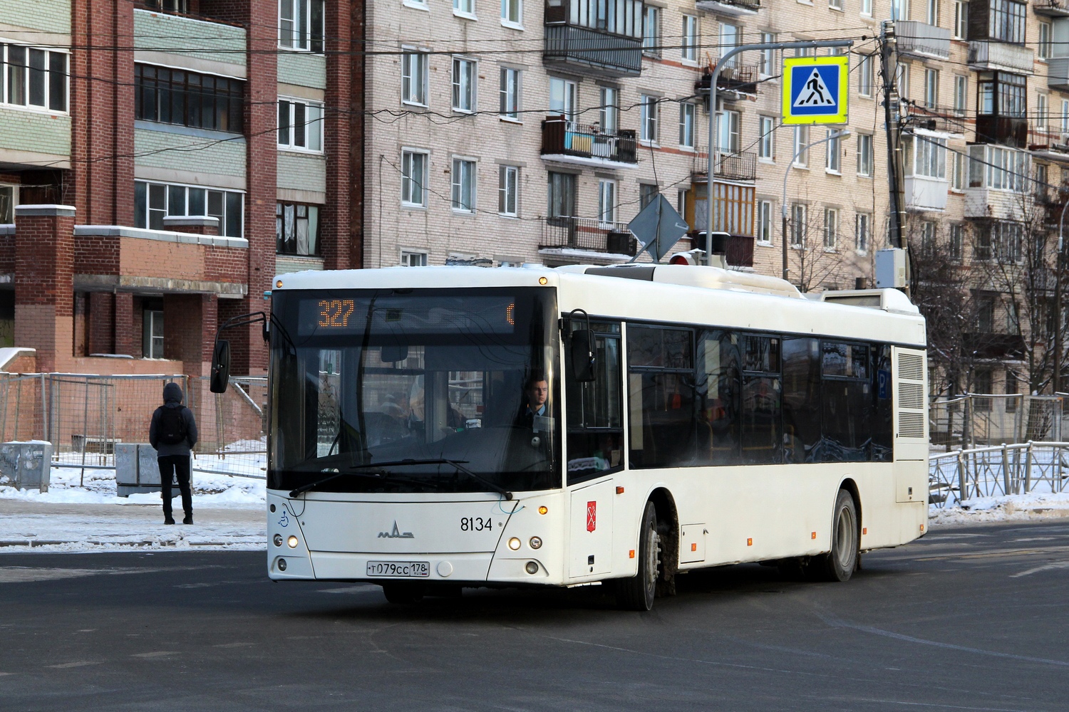 Санкт-Петербург, МАЗ-203.085 № 8134