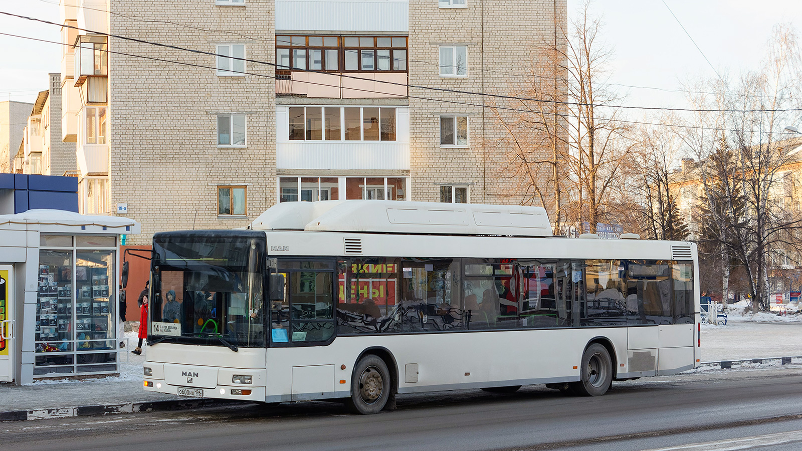 Свердловская область, MAN A21 NL313 CNG № О 600 НА 196