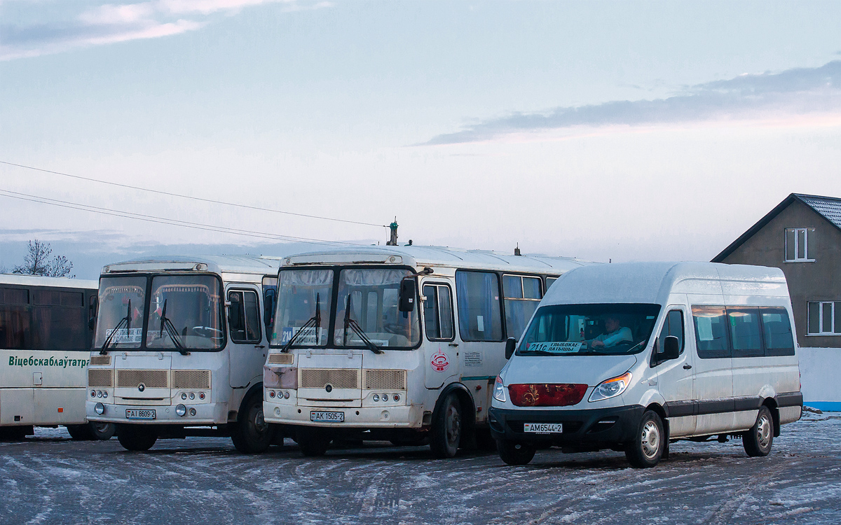 Vitebsk region, МАЗ-281.040 # 30200