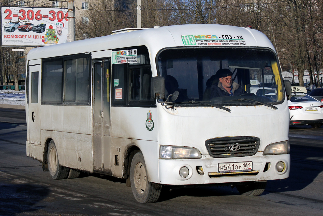 Ростовская область, Hyundai County LWB C11 (ТагАЗ) № 0011