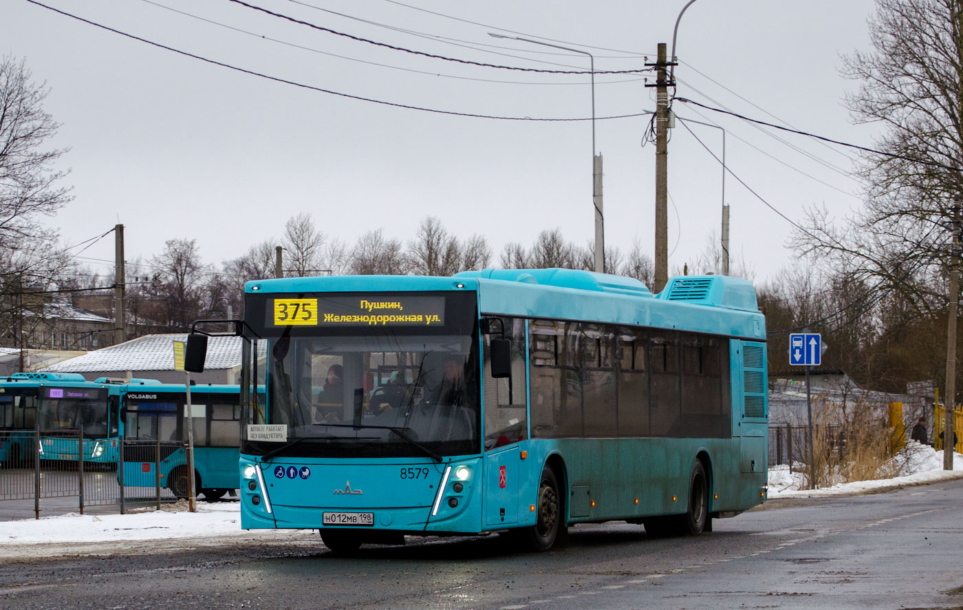 Санкт-Петербург, МАЗ-203.047 № 8579