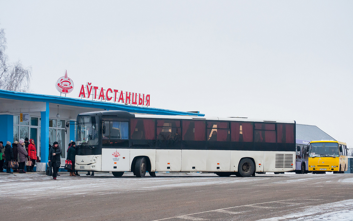 Витебская область, МАЗ-231.062 № АІ 6323-2