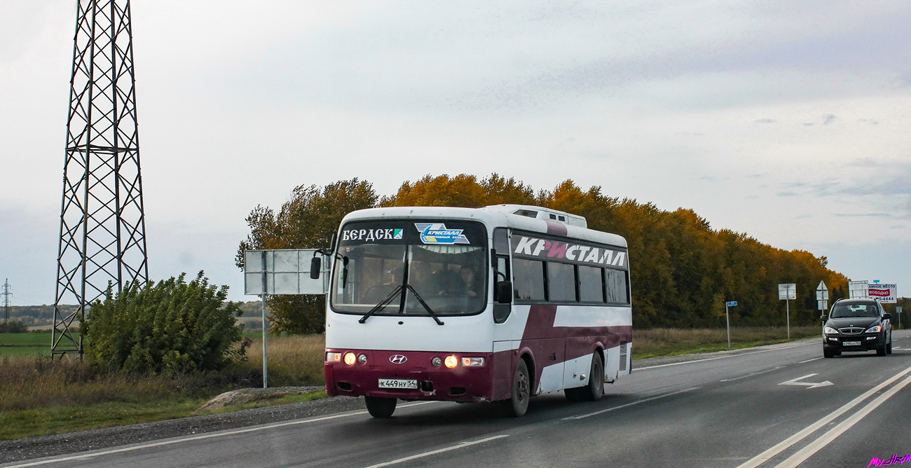 Новосибирская область, Hyundai AeroTown № К 449 НУ 54