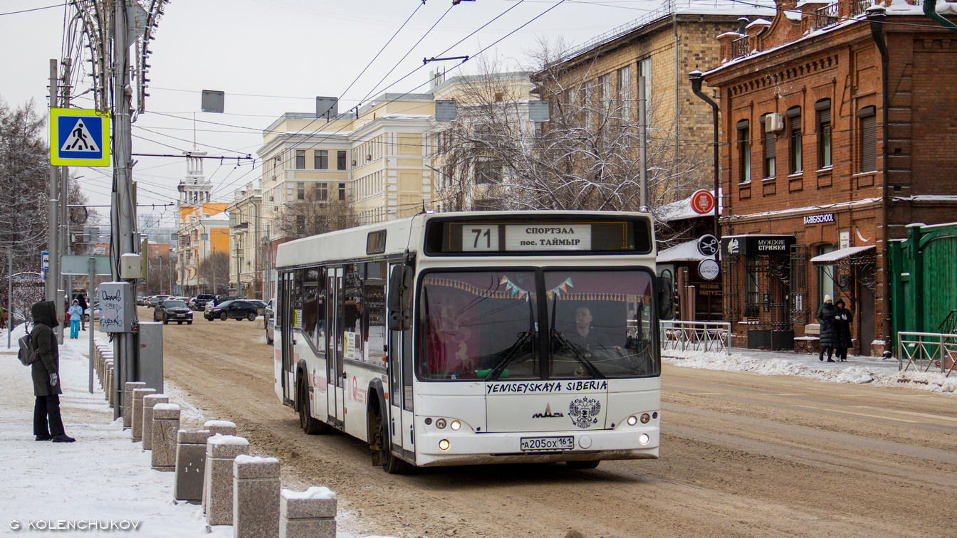 Красноярский край, МАЗ-103.465 № А 205 ОХ 161