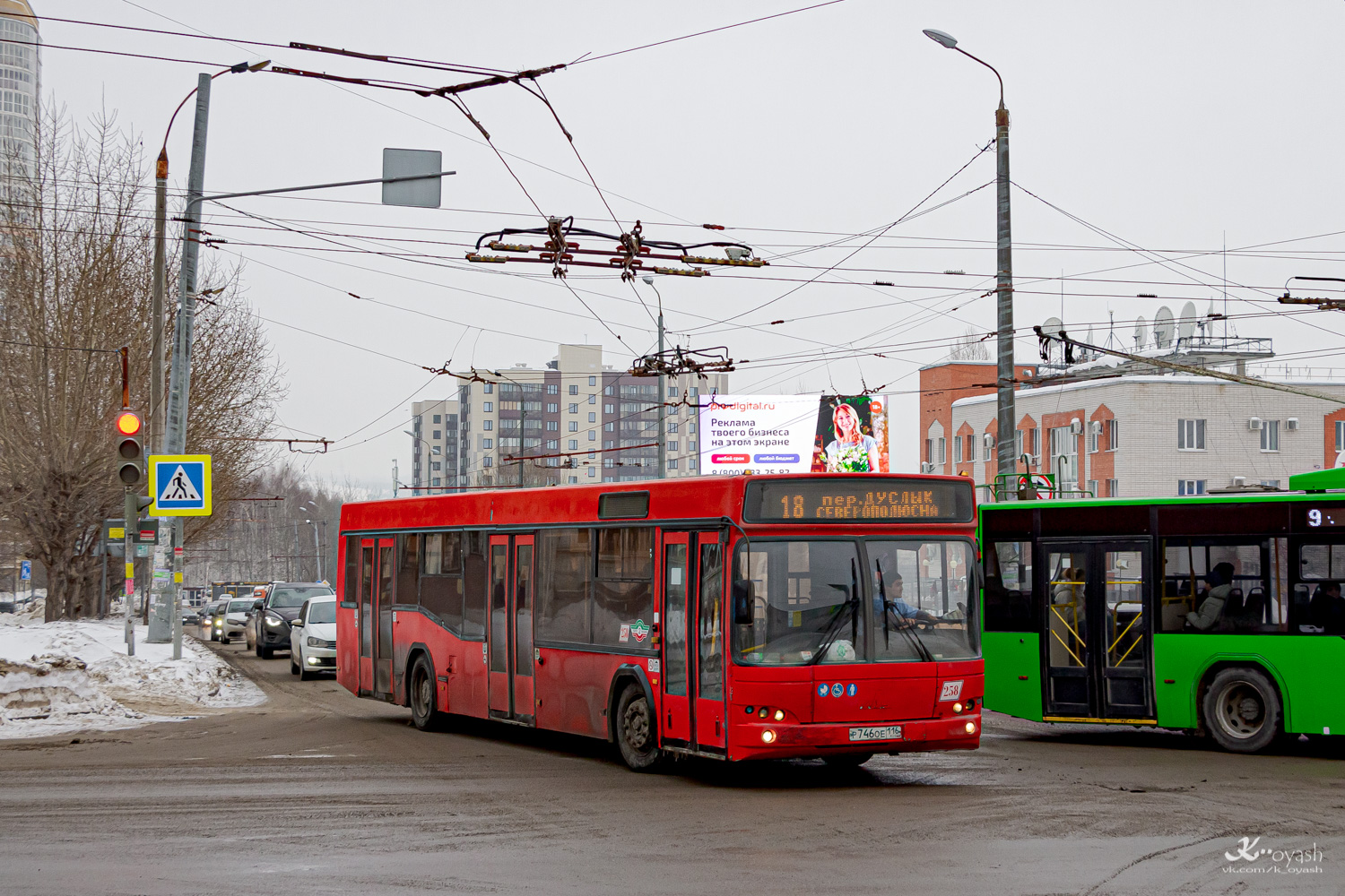 Татарстан, МАЗ-103.465 № 258