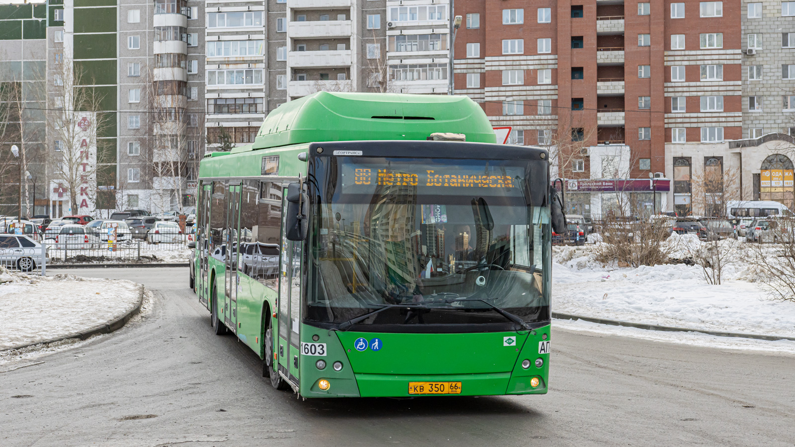 Свердловская область, МАЗ-203.L65 № 1603