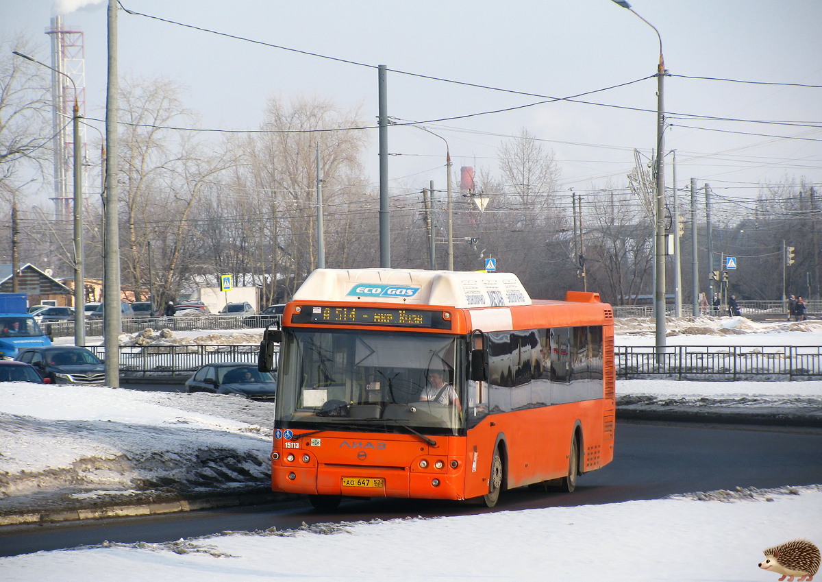 Нижегородская область, ЛиАЗ-5292.67 (CNG) № 15113