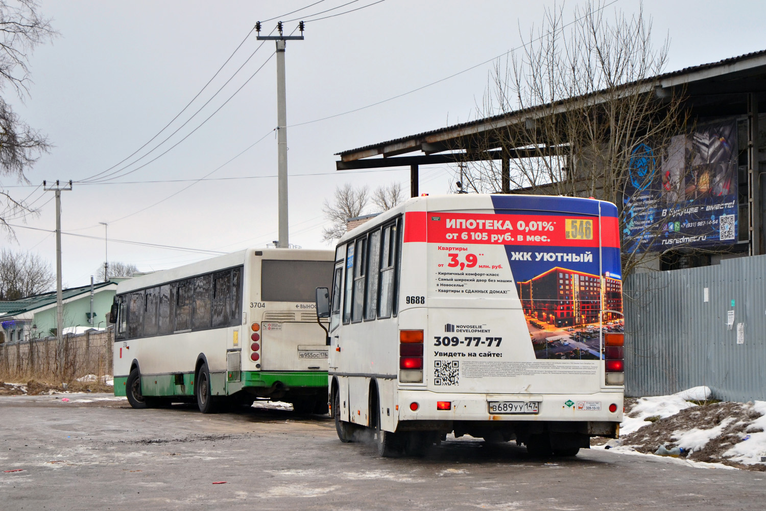 Ленинградская область, ПАЗ-320302-11 № 9688