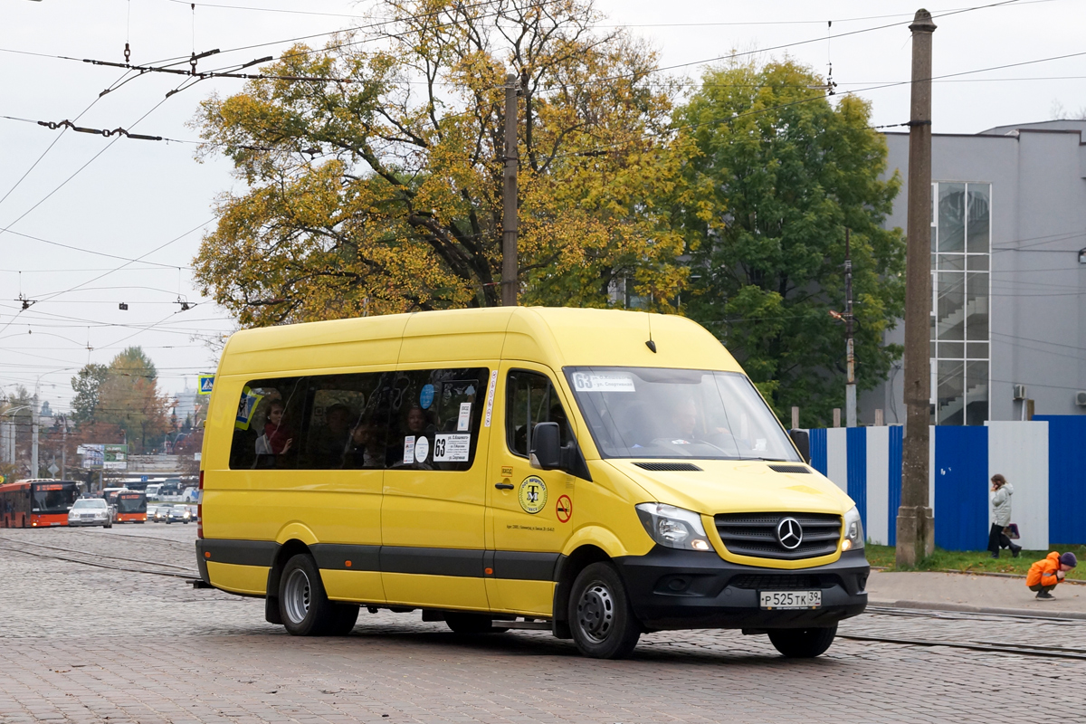 Калининградская область, Луидор-223610 (MB Sprinter) № 052