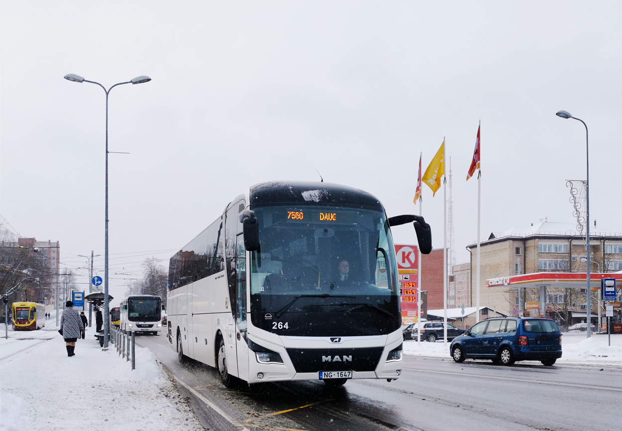 Latvia, Solaris Urbino I 15 Nr. 313; Latvia, MAN R60 Lion's Intercity ÜL330 Nr. 174; Latvia, MAN R07 Lion's Coach RHC464 Nr. 264
