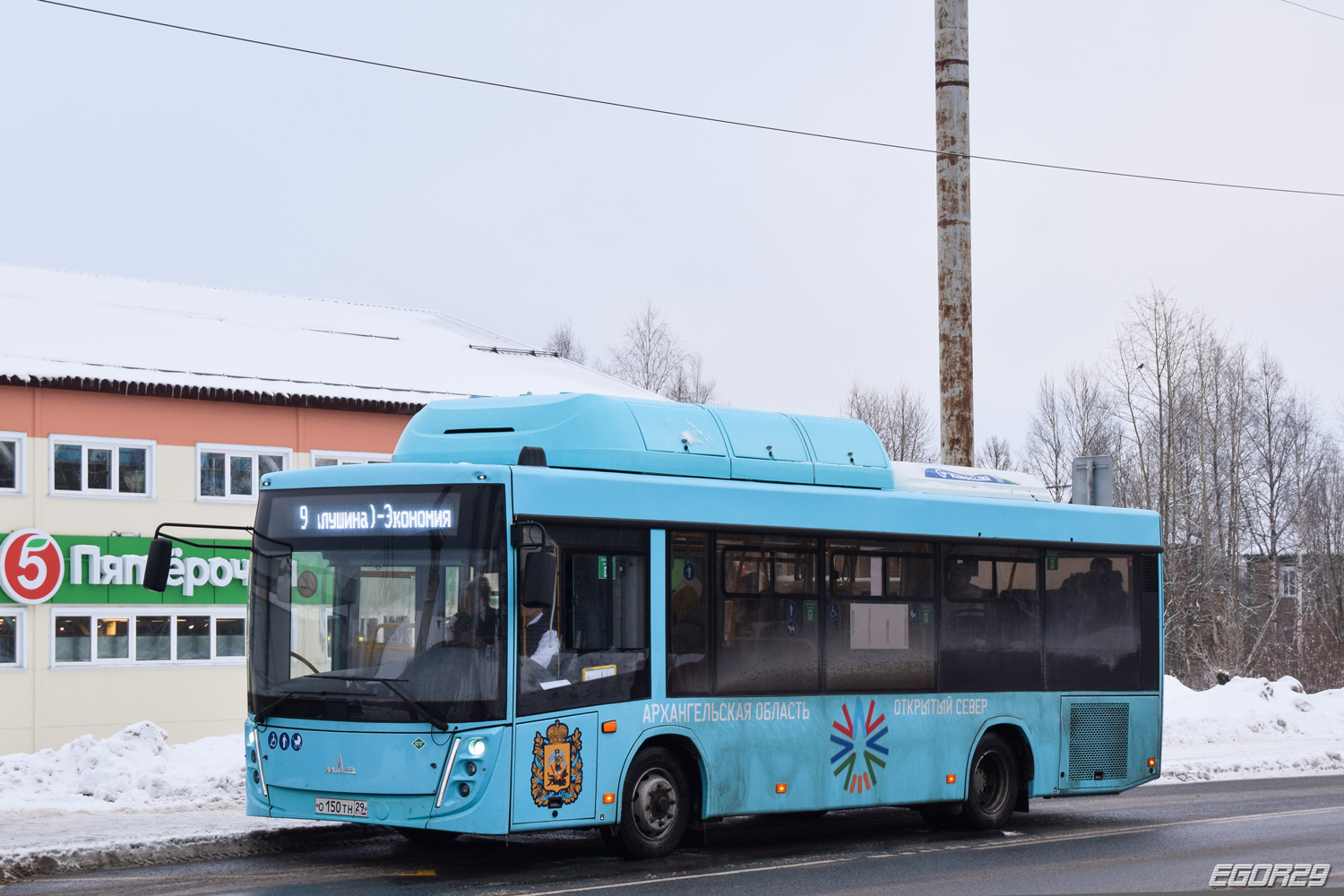 Архангельская область, МАЗ-206.948 № О 150 ТН 29