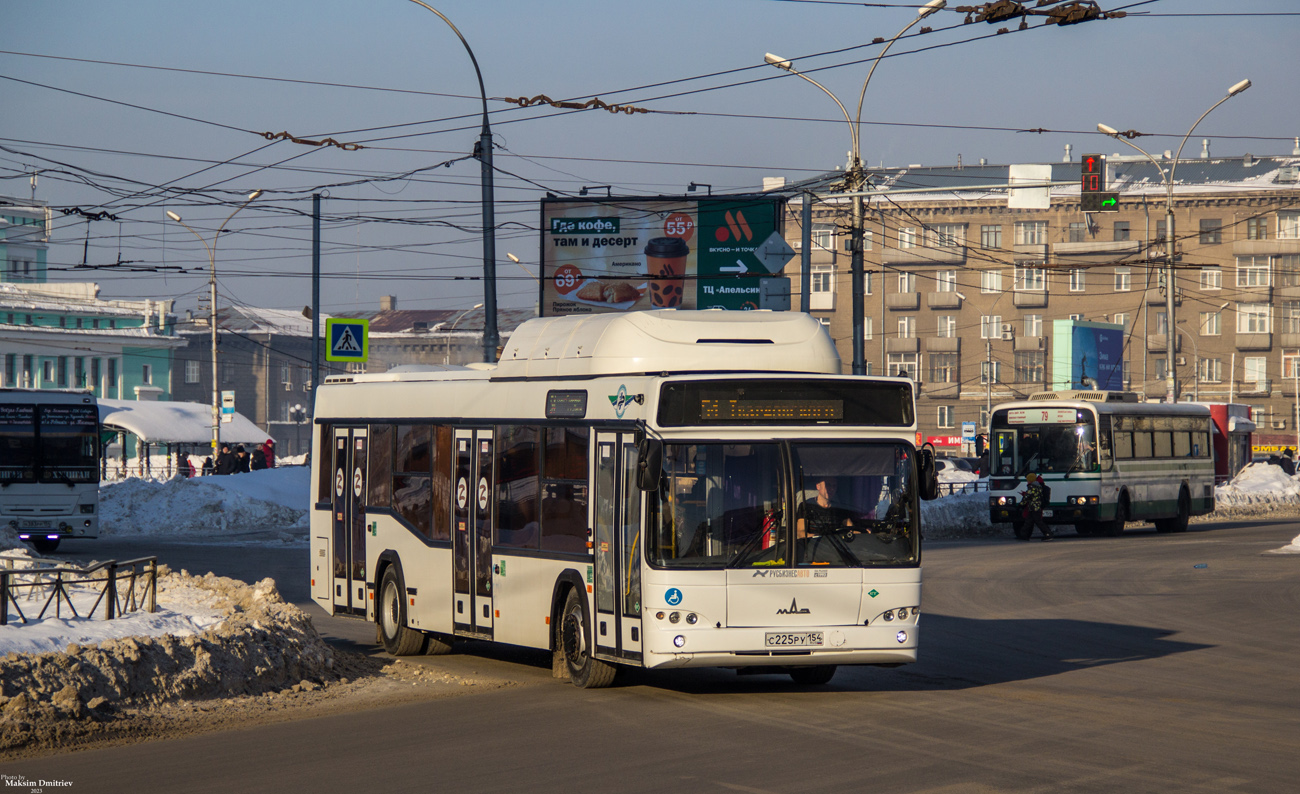 Новосибирская область, МАЗ-103.965 № 11013