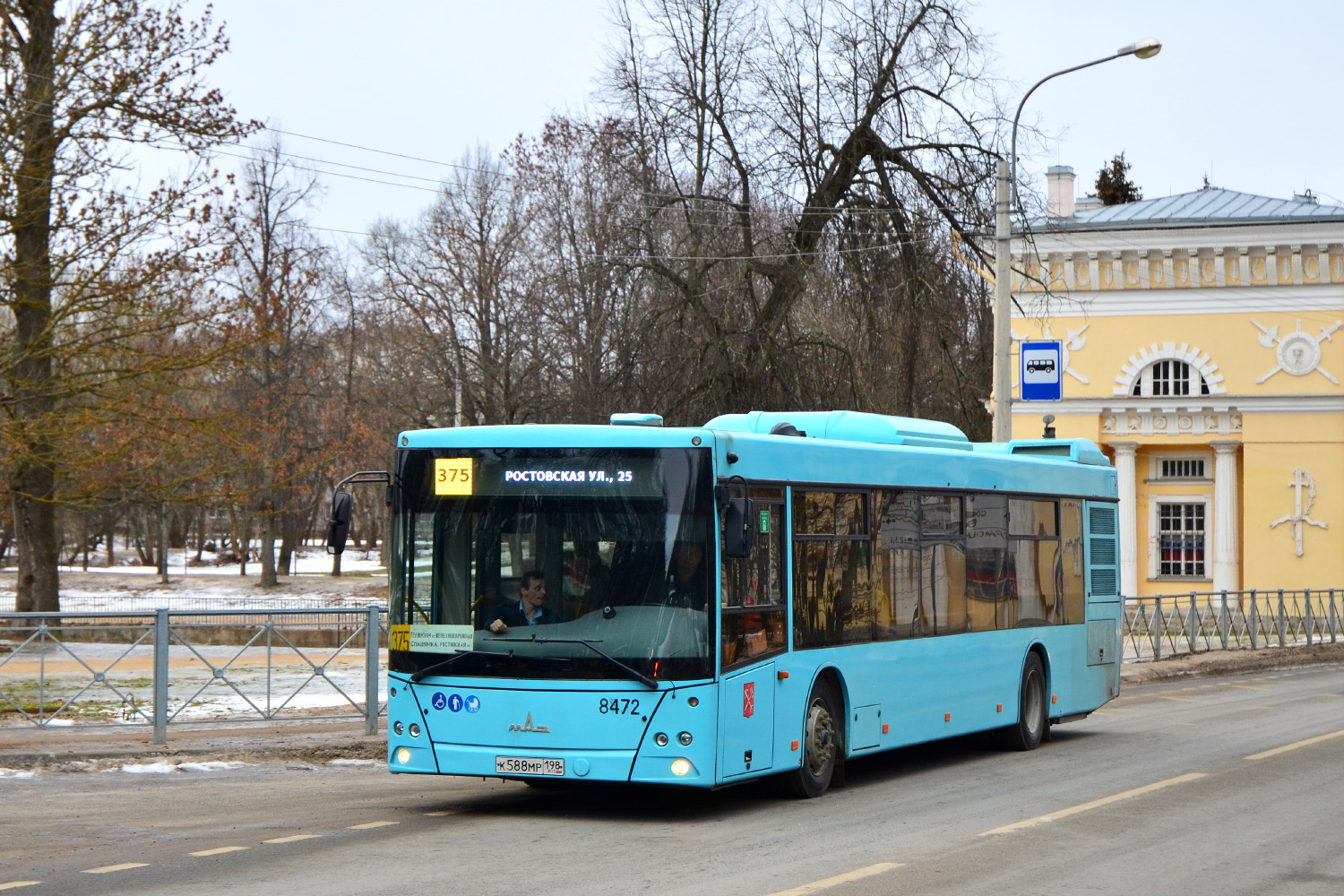 Санкт-Петербург, МАЗ-203.016 № 8472