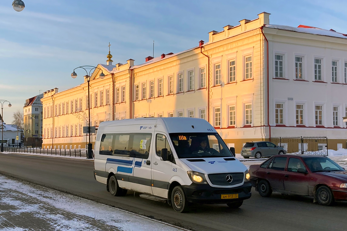 Тюменская область, Луидор-22360C (MB Sprinter) № 463