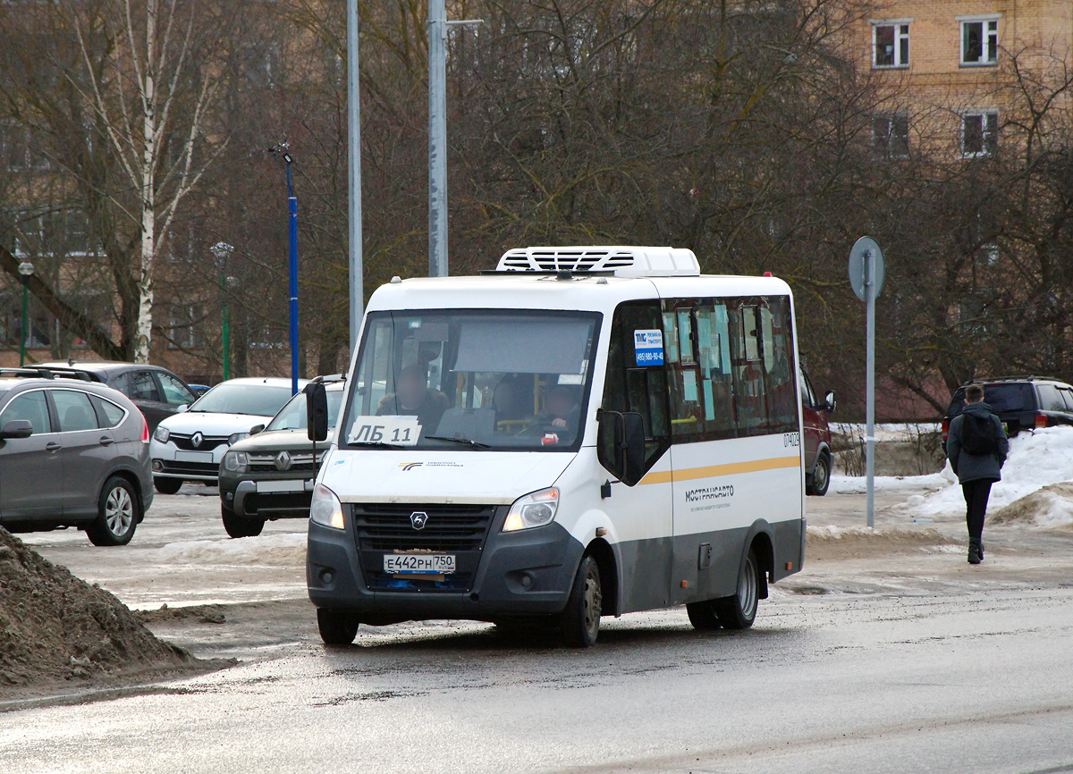 Московская область, Луидор-2250DS (ГАЗ Next) № 095087