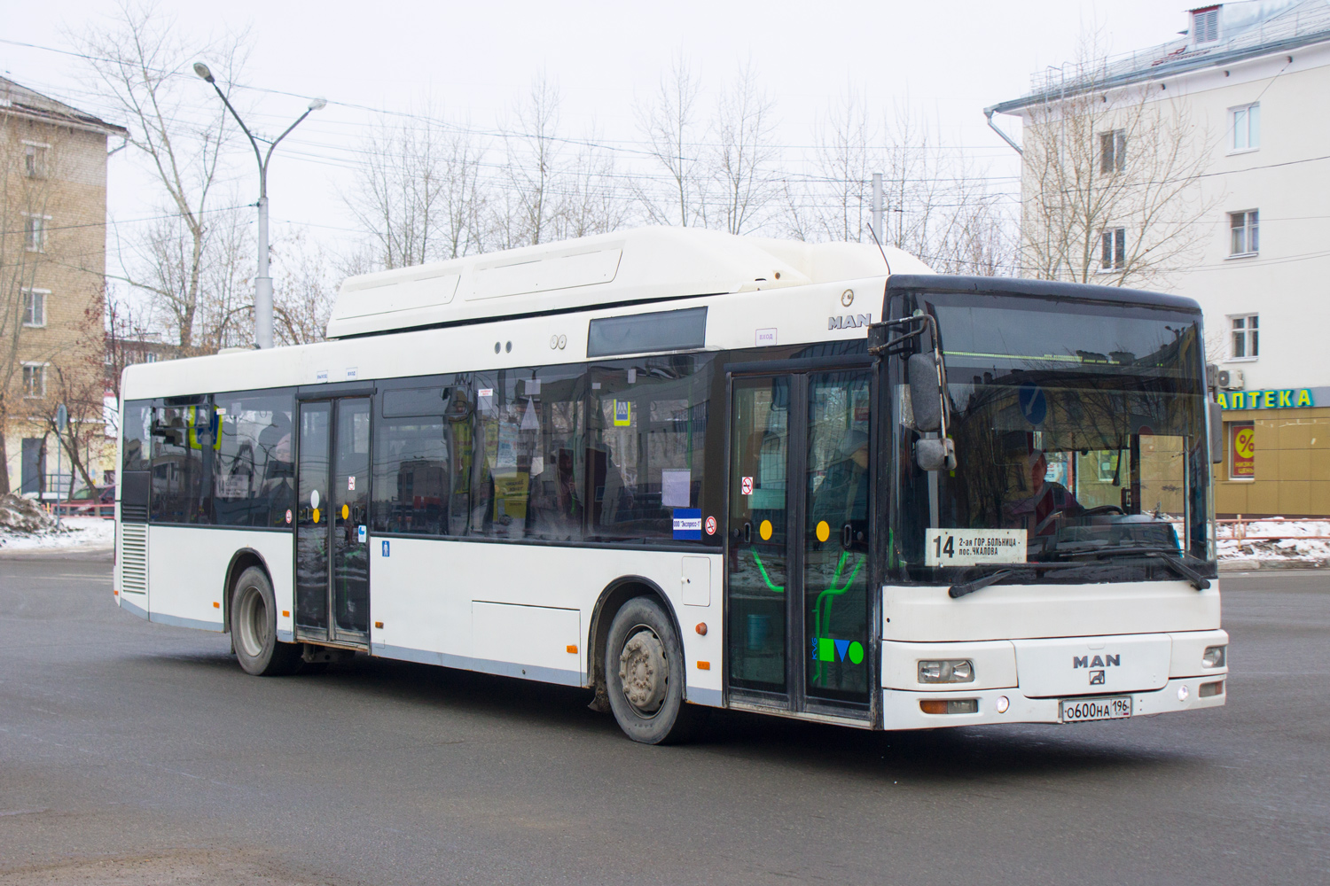 Свердловская область, MAN A21 NL313 CNG № О 600 НА 196