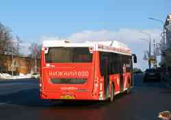 629 КБ