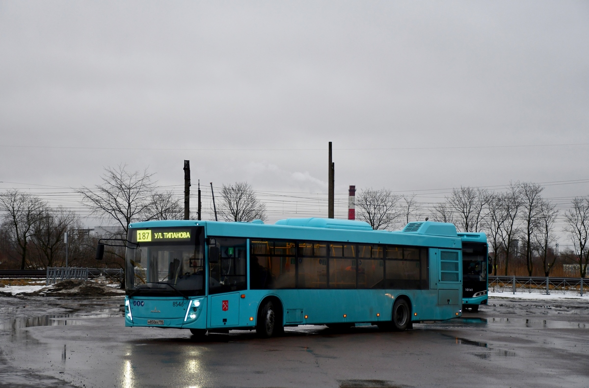 Санкт-Петербург, МАЗ-203.047 № 8546