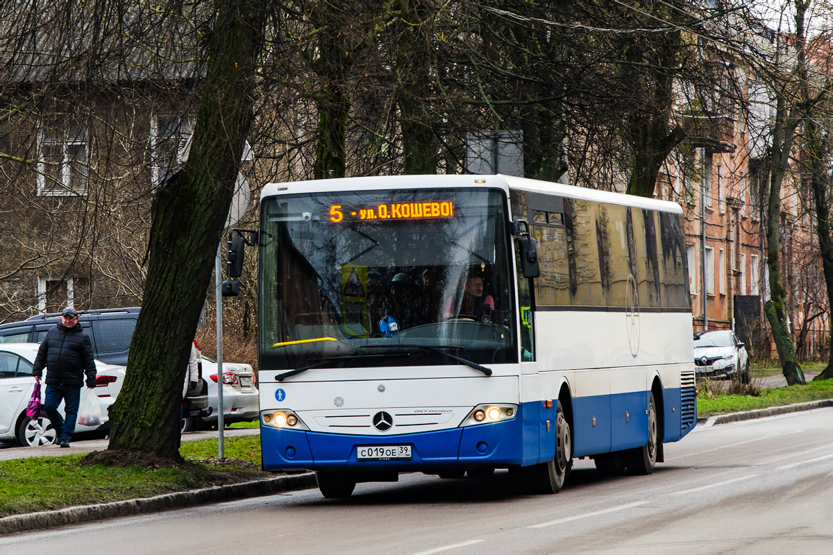 Калининградская область, Mercedes-Benz Intouro II № С 019 ОЕ 39