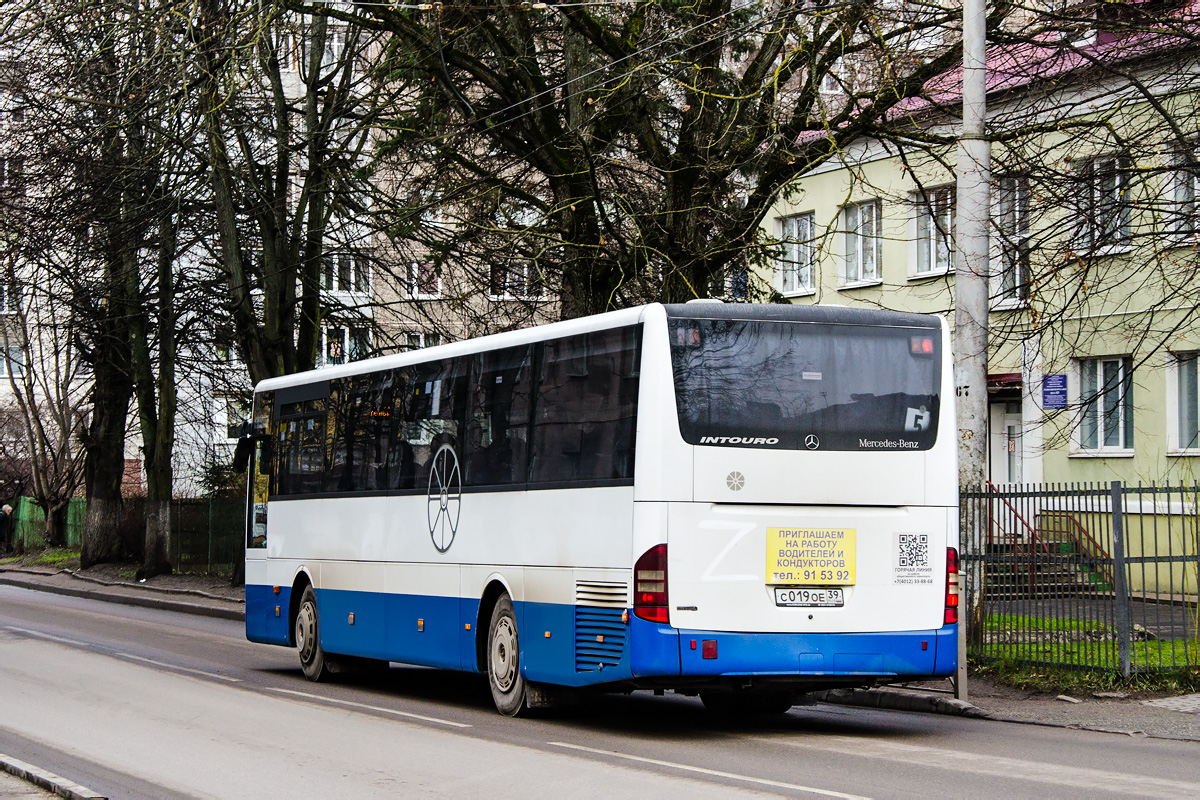 Калининградская область, Mercedes-Benz Intouro II № С 019 ОЕ 39