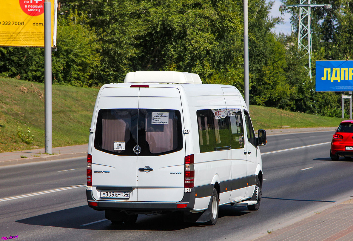 Новосибирская область, Луидор-223602 (MB Sprinter) № Е 309 ХМ 154