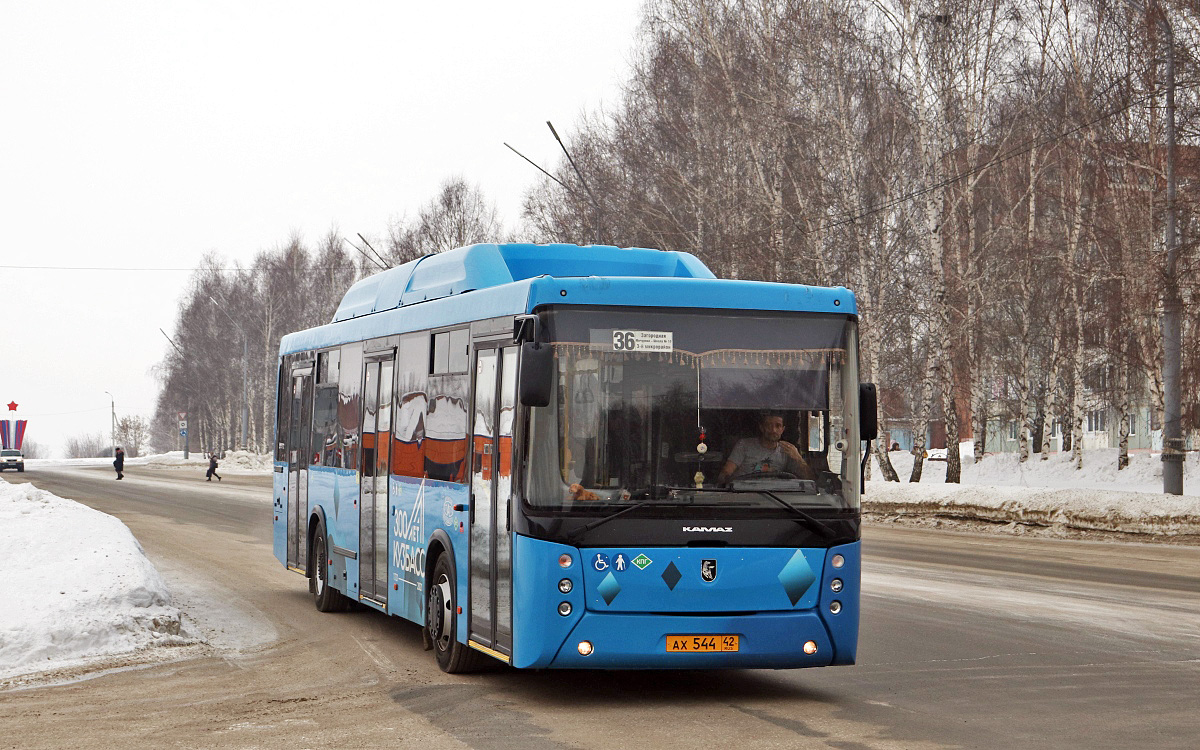 Kemerovo region - Kuzbass, NefAZ-5299-30-56 Nr. 543