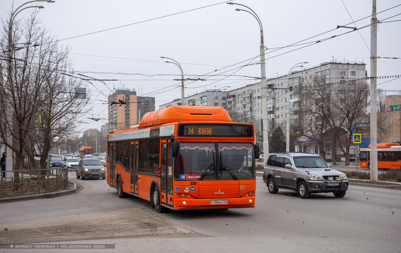 Ростовская область, МАЗ-103.965 № 828