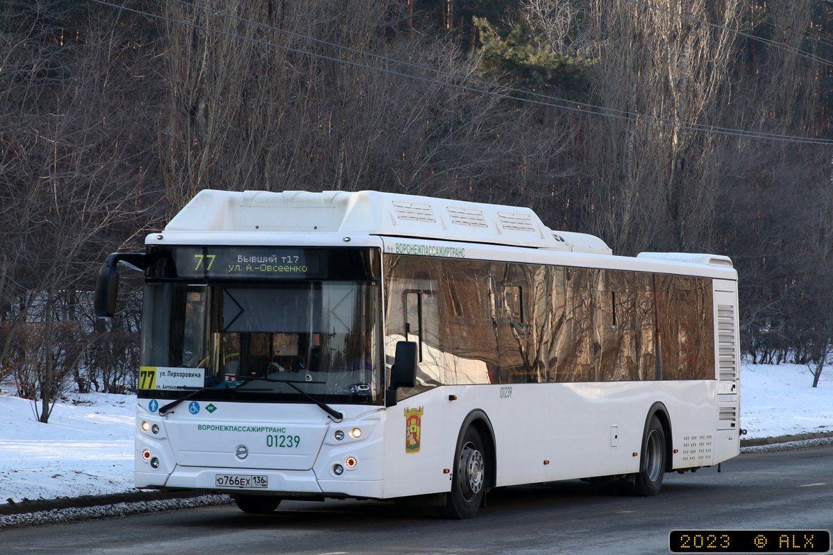 Воронежская область, ЛиАЗ-5292.67 (CNG) № 01239