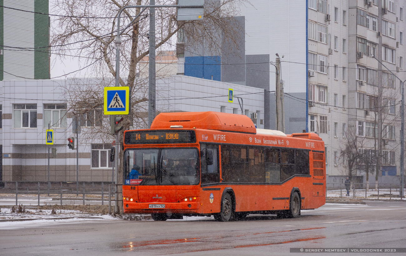 Ростовская область, МАЗ-103.965 № 818