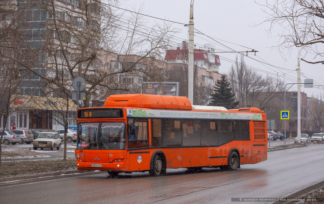 Ростовская область, МАЗ-103.965 № 824