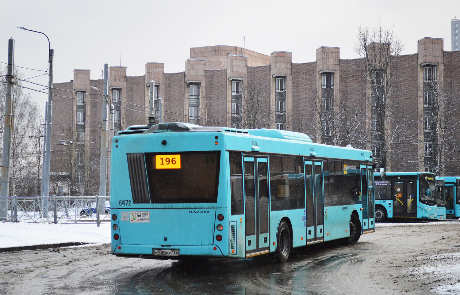 Санкт-Петербург, МАЗ-203.016 № 8472