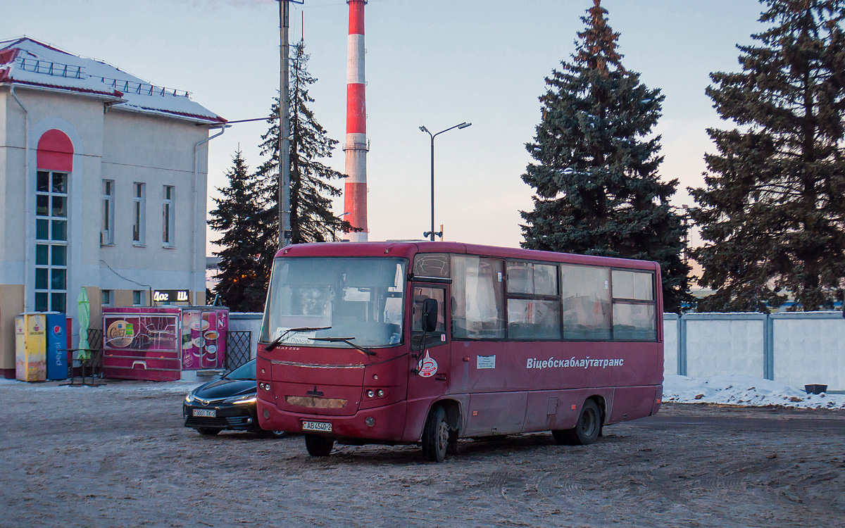 Vitebsk region, MAZ-256.270 № 100612