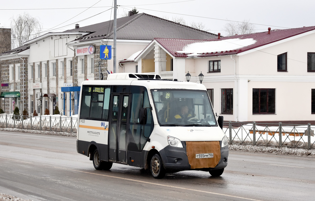 Московская область, Луидор-2250DS (ГАЗ Next) № 074038