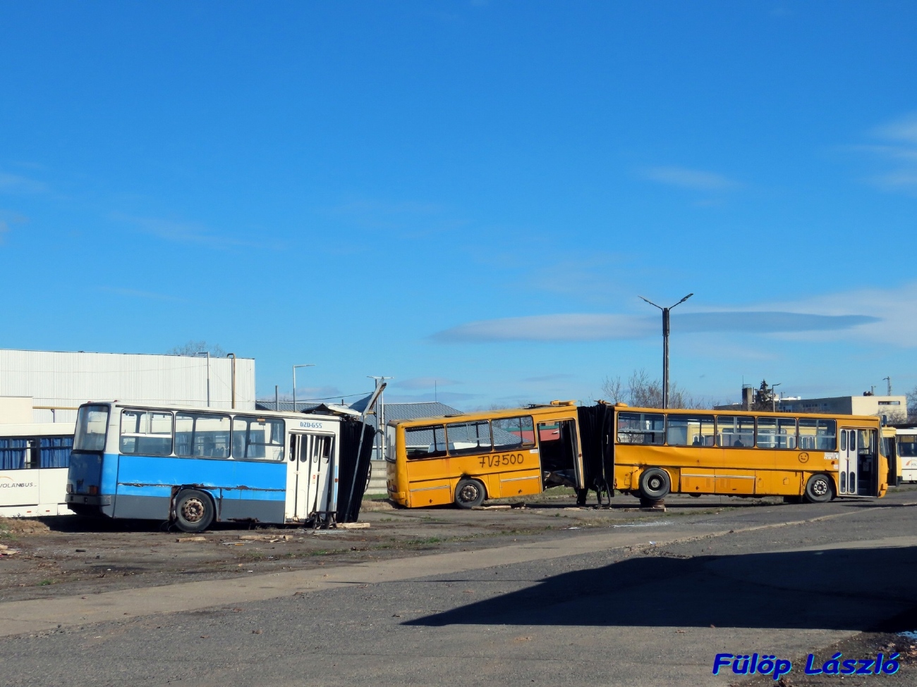 Венгрия, Ikarus 280 (Vasi Volán) № DZD-655; Венгрия, Ikarus 280.03 № FVJ-500