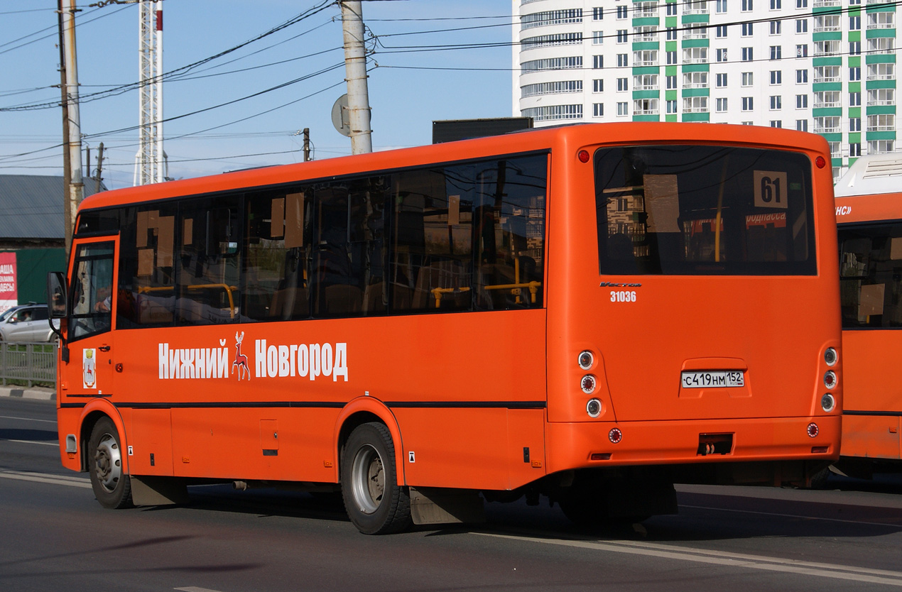 Нижегородская область, ПАЗ-320414-04 "Вектор" № 31036