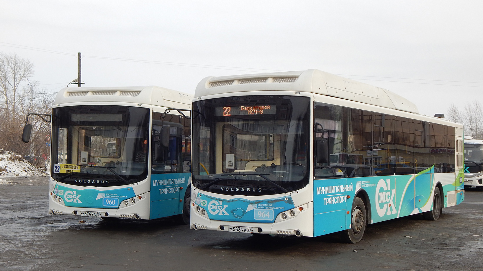 Omsk region, Volgabus-5270.G2 (CNG) № 964