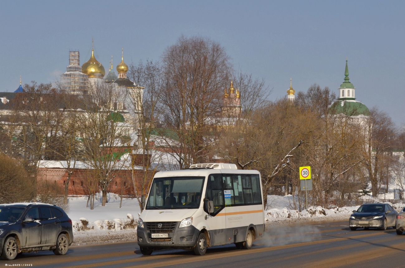 Московская область, Луидор-2250DS (ГАЗ Next) № 107468