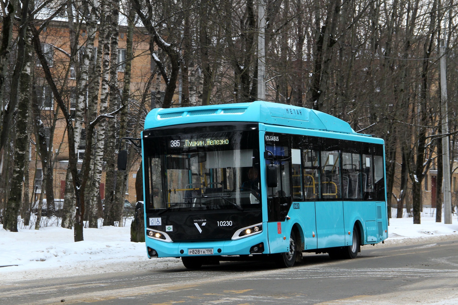 Санкт-Петербург, Volgabus-4298.G4 (CNG) № 10230