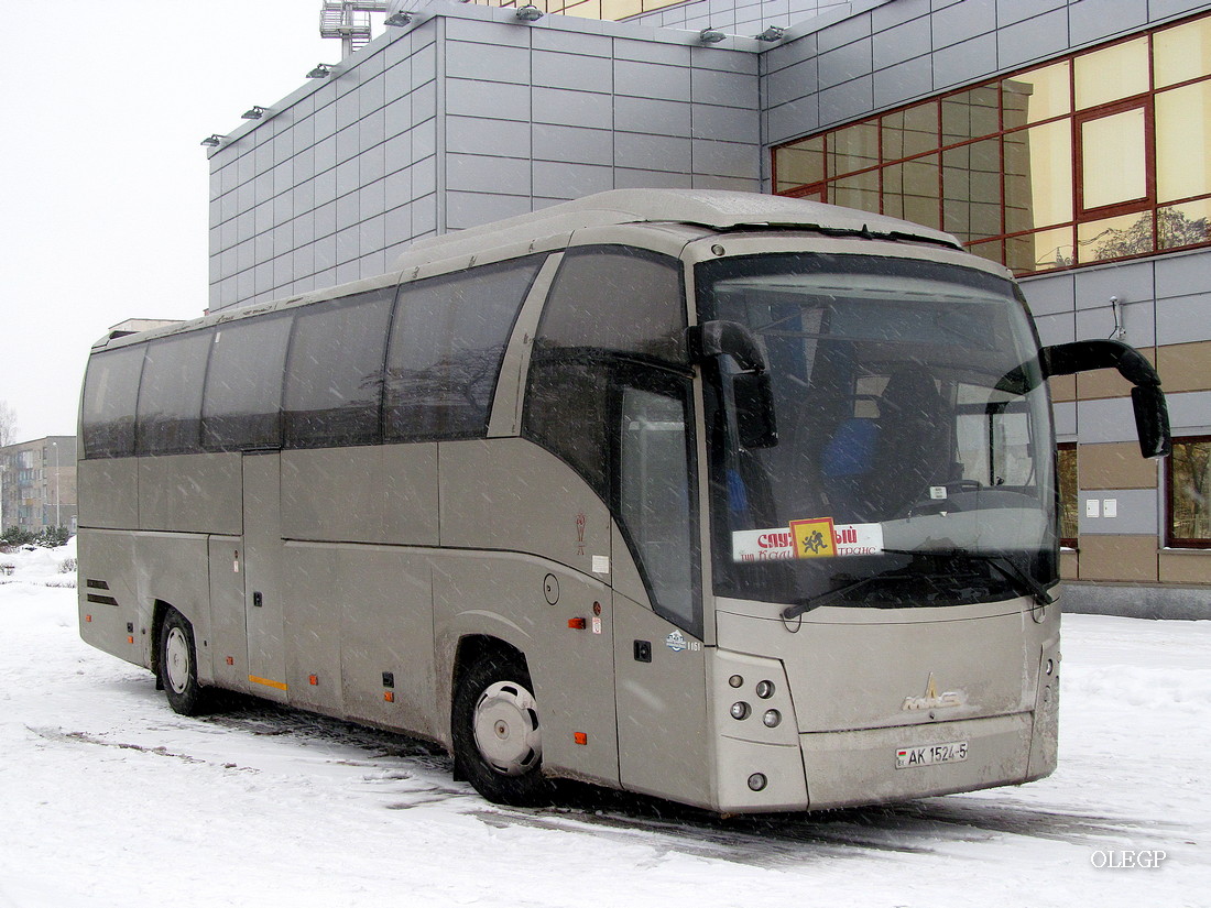 Минская область, МАЗ-251.050 № 1161 Минская область, МАЗ-251.050 № 1161