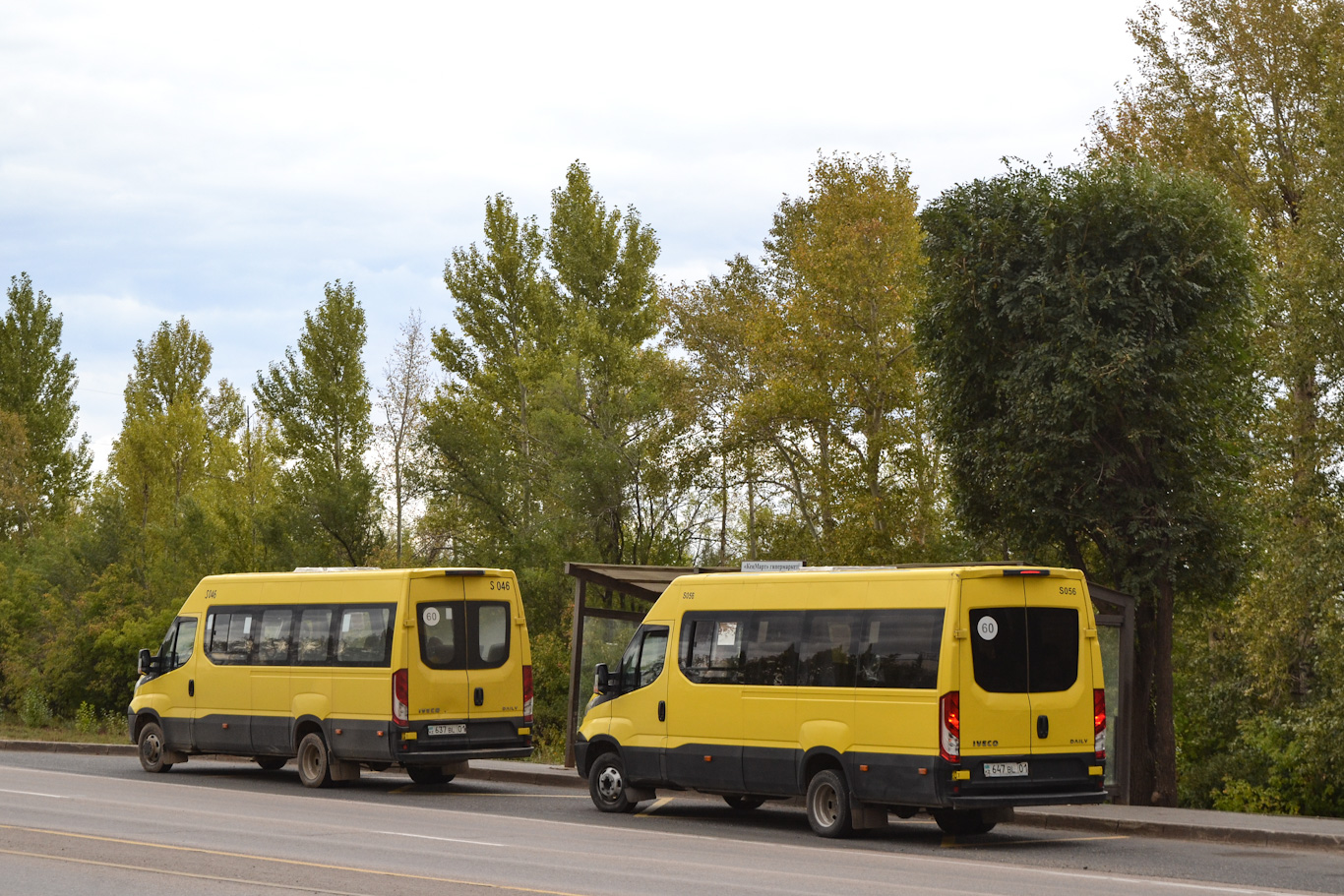 Астана, IVECO Daily 50C15V (СарыаркаАвтоПром) № S056